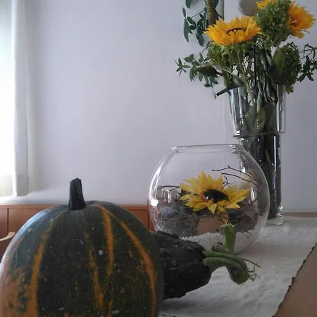 Aparthotel Haselried Tirol